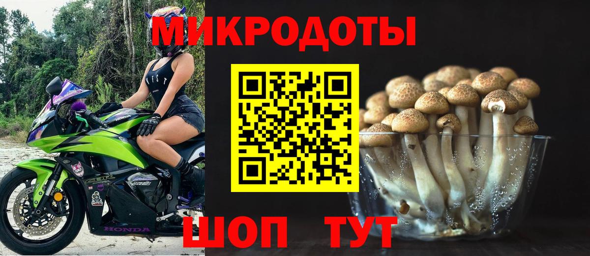 Галлюциногенные грибы Psilocybe  Вход с VPN  дарнет шоп  Галлюциногенные грибы прущие грибы  Архангельск 