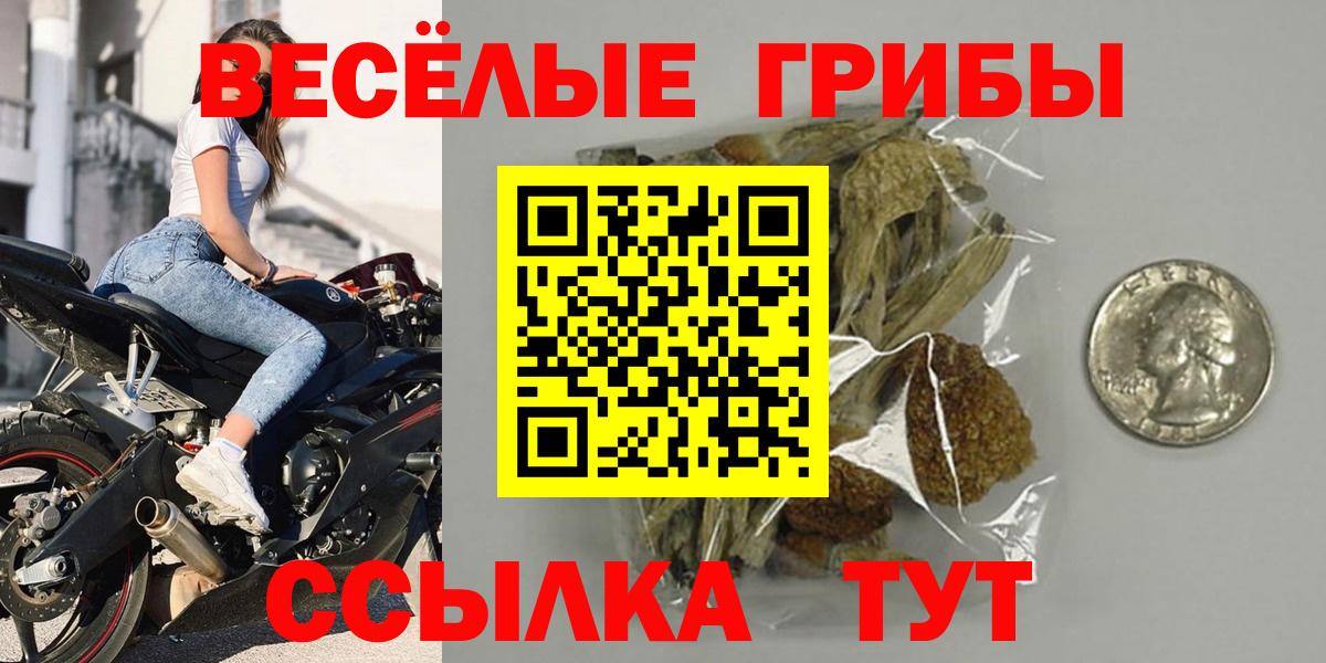 Галлюциногенные грибы Psilocybe Архангельск